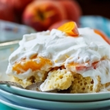 Peach Bourbon Tres Leches – Spicy Southern Kitchen