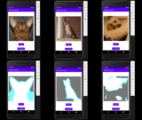 Posit AI Blog: Train in R, run on Android: Image segmentation with torch