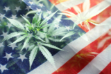 US drug control agency will move to reclassify marijuana in a historic shift, AP sources say – Cannabis Business Executive