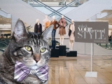 Sundays With Tabs the Cat, Makeup and Beauty Blog Mascot, Vol. 858
