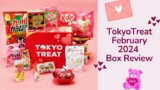 TokyoTreat February 2024 Snack Box Review – 9 Tailed Kitsune